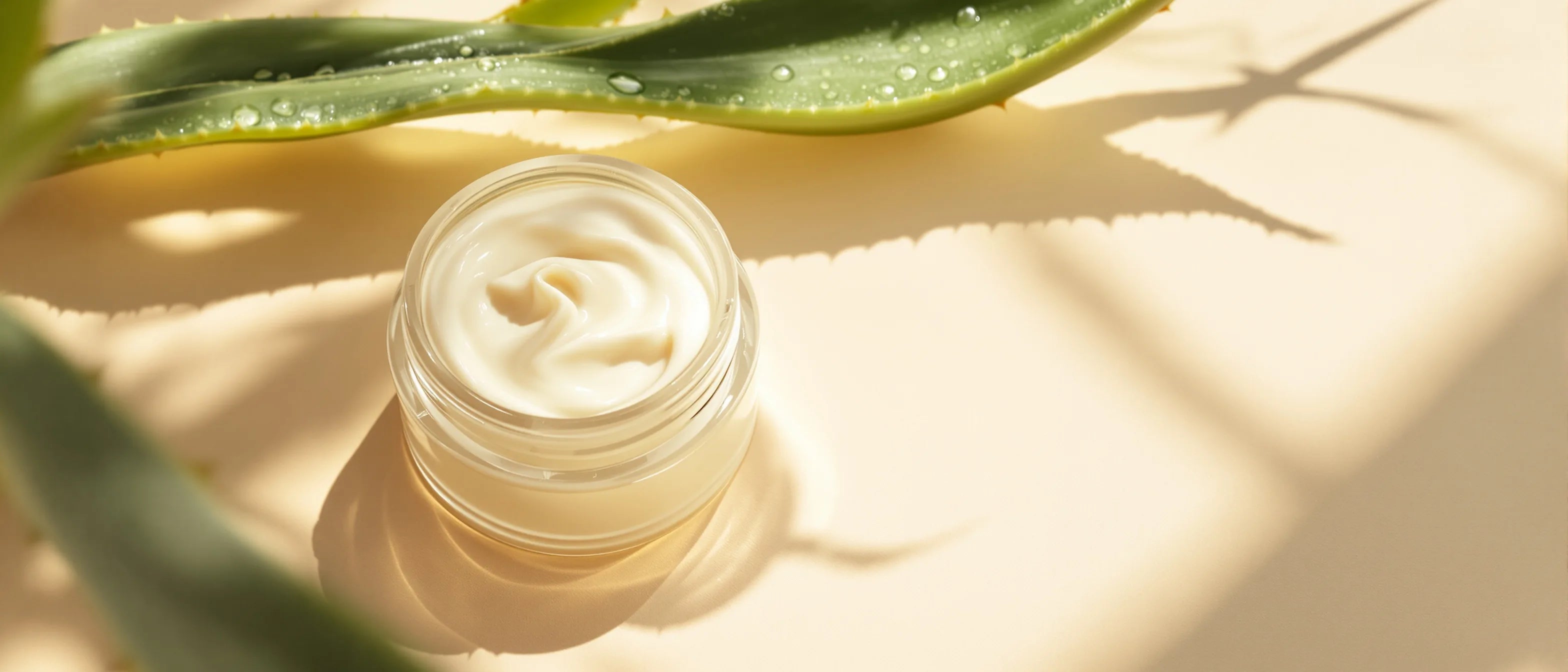 Aloe-Vera-Blatt neben einem Tiegel natürlicher Gesichtscreme – Tays Natural