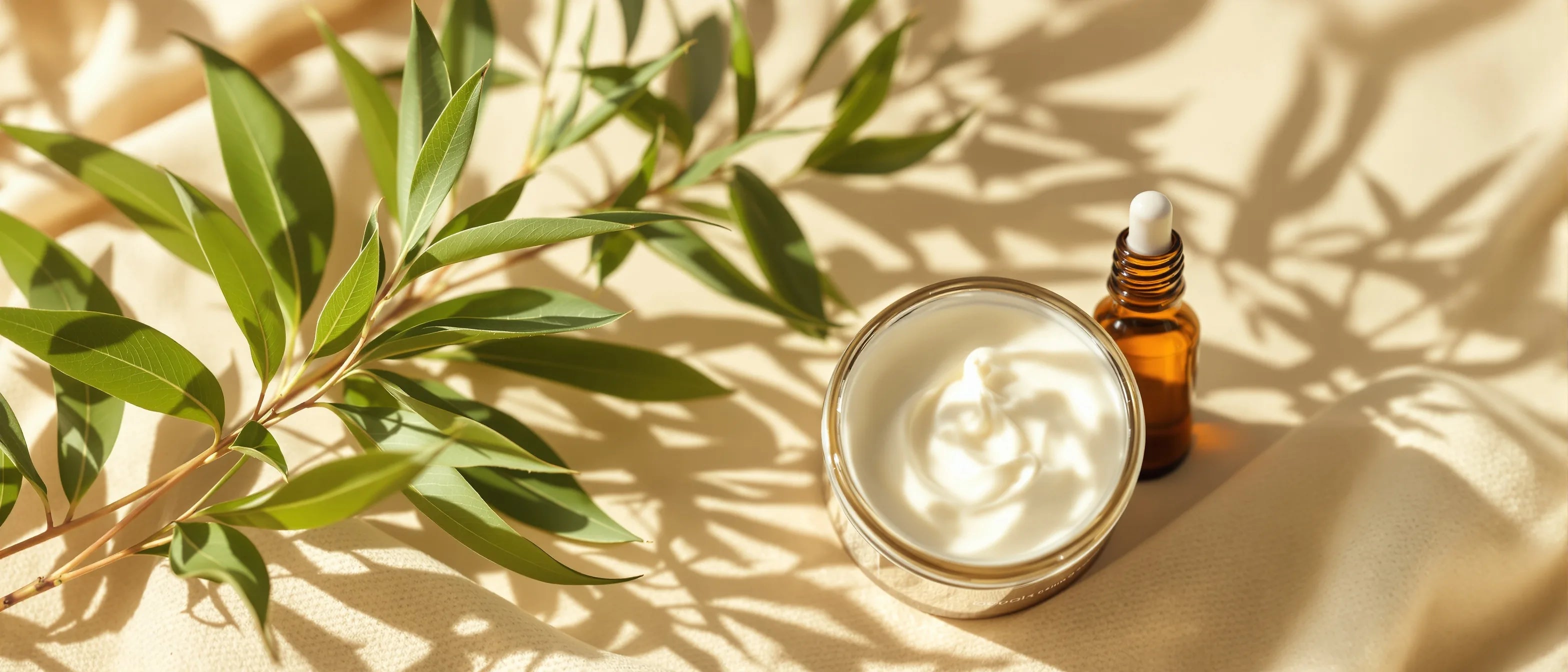 Teebaumblätter und Ätherisch-Öl-Fläschchen neben Creme – Teebaumöl für die Haut, Tays Natural