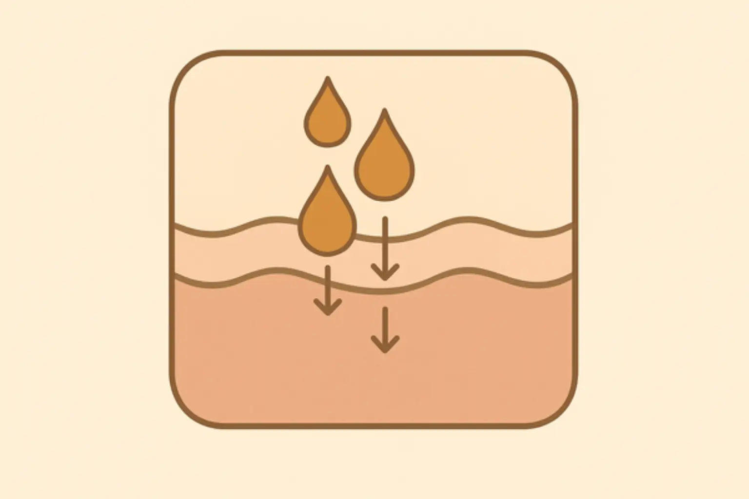 Eine Grafik wie Rinderfett in die Haut gelangt